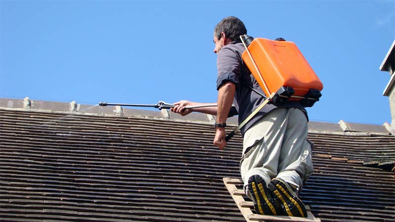 Nettoyage et démoussage toiture - LES ANGES DES TOITS Couvreur en Belgique : région Wallonne, Flamande, Bruxelles : nettoyage, démousage, traitement anti-mousse toit et application d’une résine hydrofuge coloré toiture