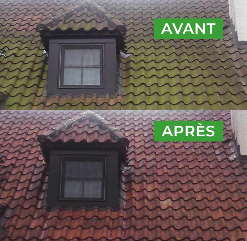 Nettoyage et démoussage toiture - LES ANGES DES TOITS Couvreur en Belgique : région Wallonne, Flamande, Bruxelles : nettoyage, démousage, traitement anti-mousse toit et application d’une résine hydrofuge coloré toiture
